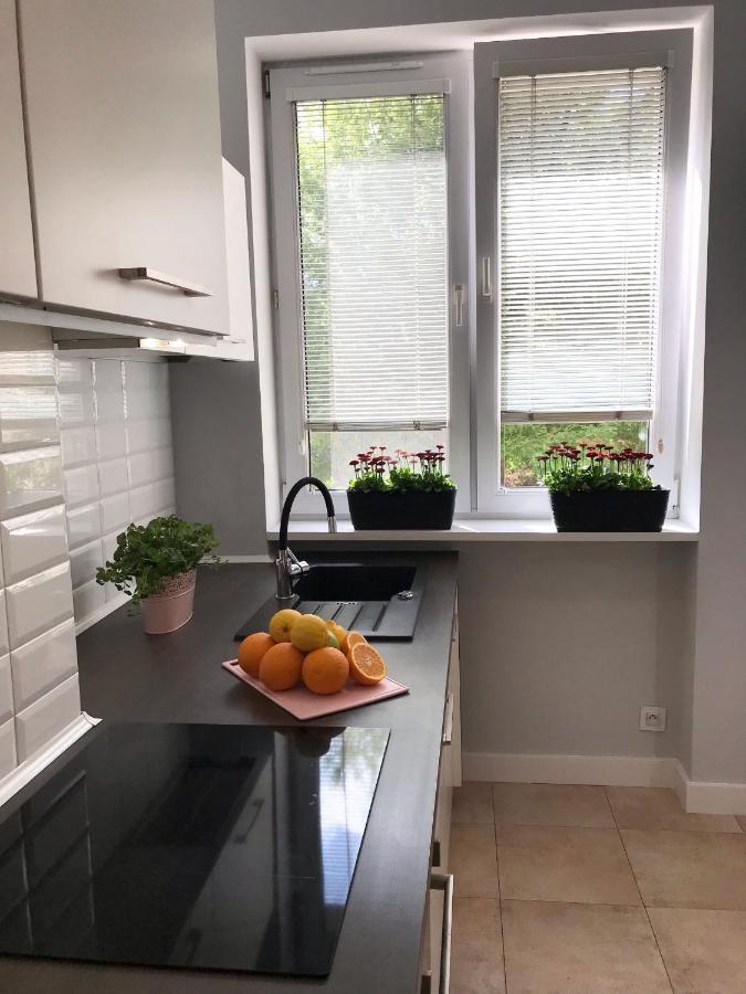 Klimatyczny Apartament Pod Ratuszem -Ul. Slaska 2 쳉스토호바 외부 사진